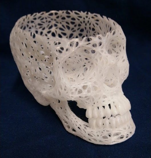 Wireframe skull