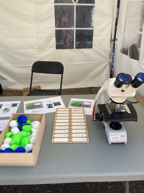 a microscope, a series of slides and #D printed pollen grains lay on a table at the event OPPLEV Marineholmen